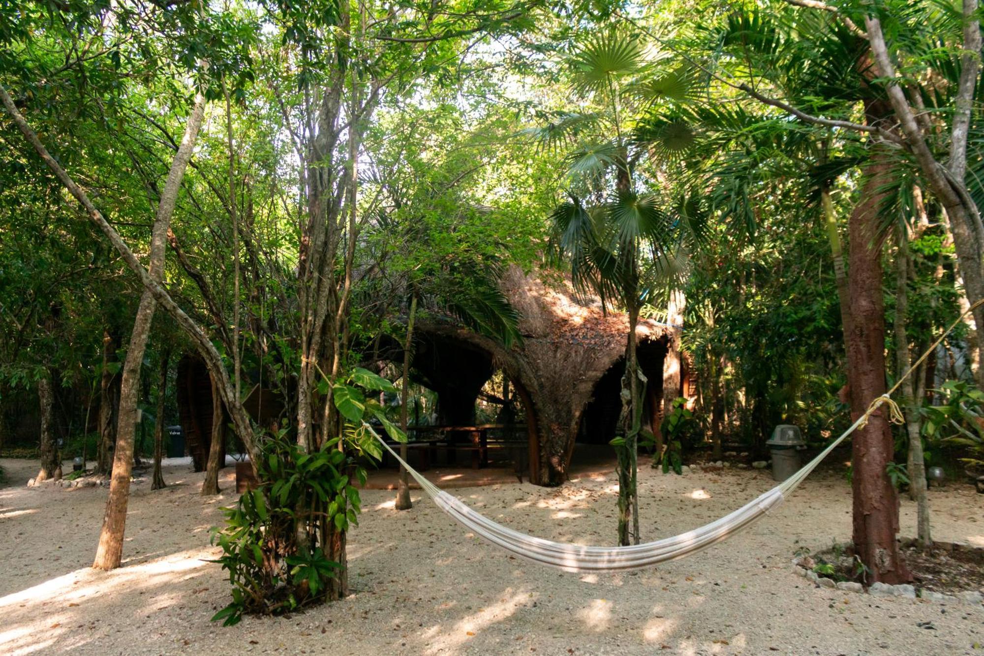 Apartment Ku Kuk Glamping