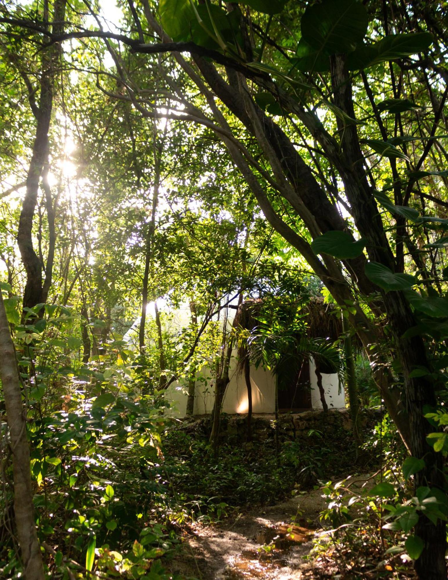 Ku Kuk Glamping Apartment